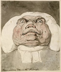 Reverendissimo Viro - V.H Huntington by Thomas Rowlandson